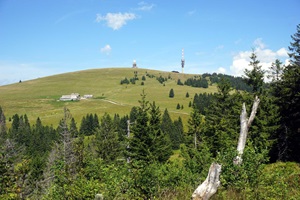 Blick auf den sommerlichen Feldberg im Schwarzwald