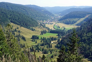 Blick auf den Ortsteil Menzenschwand von St. Blasien