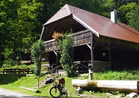 Blick auf die Hummelhütte im Steinatal im Schwarzwald