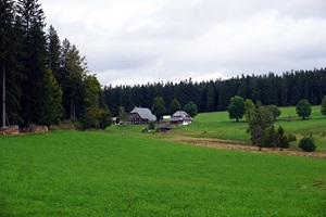 Blick auf einen Hof in Furtwangen