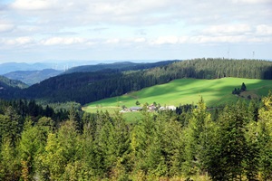 Blick auf einen Farnbauerhof im Schwarzwald