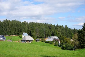 Blick auf die Martinskapelle an der Bregquelle im Schwarzwald