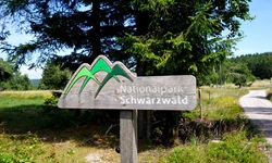 Holzschild mit dem Logo des Nationalparks Schwarzwald.