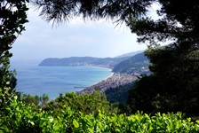 Wunderschöner, malerisch von Bäumen eingerahmter Blick auf die Küste Liguriens und das türkis schimmernde Meer.