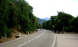 Ein Radfahrer auf einer asphaltierten Straße im Nordosten Sardiniens.