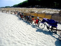 Am Strand geparkte Fahrräder an der Ostküste Sardiniens warten auf ihre Besitzer, die derzeit ein erfrischendes Bad im Meer nehmen.