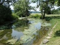 Zusammenfluss von Brigach und Breg in Donaueschingen