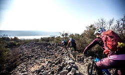 Drei Mountainbiker auf einem steinigen, von Trockenmäuerchen umrahmten Trail in Süddalmatien.