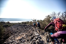 Drei Mountainbiker auf einem steinigen, von niedrigen Trockenmäuerchen begrenzten Trail in Süddalmatien.
