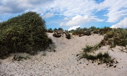 Blick auf eine bewachsene Düne auf der Insel Rügen