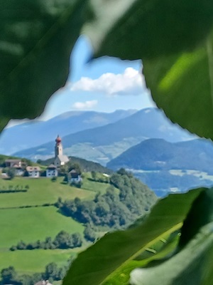 Durch Blätter fotografiertes Dorf mit einer Kirche in Südtirol auf der Radreise von Bozen über Verona nach Venedig