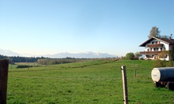 Blick über eine Weide und ein Bauernhof zu den imposanten Alpen in Bayern