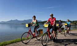 Fahrradfahrer radeln auf einem gepflasterten Weg am Chiemsee entlang