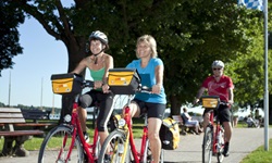 Radler fahren auf dem gepflasterten Weg am Chiemsee entlang