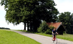 Ein Radler fährt auf einem Radweg an Wiesen und einem Holzhäuschen mit drei großen Bäumen vorbei