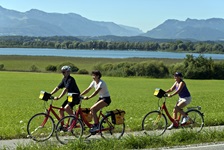 Eine Gruppe Radler fährt auf einem Radweg entlang - im Hintergrund sind die Alpen zu erkennen