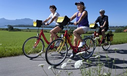 Drei Fahrradfahrer radeln auf einem Radweg am Chiemsee entlang