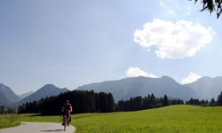 Ein Fahrradfahrer fährt auf einem asphaltierten Weg an Wiesen und Wälder vorbei und im Hintergrund erstreckt sich die Alpenkulisse