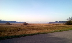 Blick über die Felder entlang des Radwegs und auf das Alpenpanorama im Hintergrund auf der Radreise "Chiemsee Impressionen"