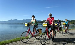 Eine Radlergruppe fährt einen gepflasterten Weg am Chiemsee entlang - im Hintergrund sind die Alpen zu sehen
