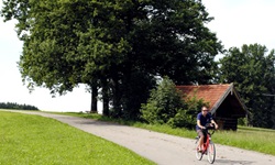 Radler fährt auf einem asphaltierten Weg an einem Holzhäuschen, drei Bäumen und Wiesen vorbei