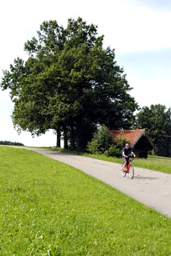 Radler fährt auf einem asphaltierten Weg an einem Holzhäuschen, drei Bäumen und Wiesen vorbei