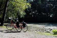 Zwei Räder stehen am Ufer eines Flusses, in dem zwei Schwäne und eine Vielzahl an Enten schwimmen