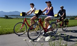 Eine Trio radelt auf einem Radweg an Wiesen vorbei