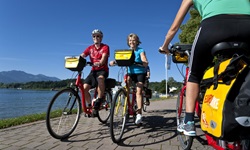 Radfahrer auf dem gefplasterten (Rad-)Weg entlang des Chiemsees