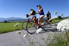 Drei Radreisende fahren auf eine (Rad-)Weg an Wiesen vorebei - im Hintergrund sind ein See und die Alpen erkennbar