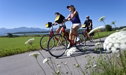 Drei Radreisende fahren auf eine (Rad-)Weg an Wiesen vorebei - im Hintergrund sind ein See und die Alpen erkennbar