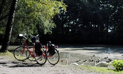 Zwei Räder stehen an einem Flussufer in Bayern - im Fluss sind Schwäne und Enten zu sehen