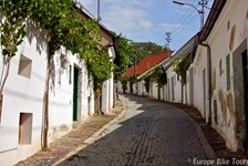 Blick in eine Gasse mit Kopfsteinpflaser und Häusern, die mit grünen Pflanzen an der Fassade bepflanzt sind