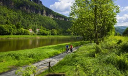 Zwei Radfahrer radeln auf dem Elbe-Radweg durch die schöne Landschaft