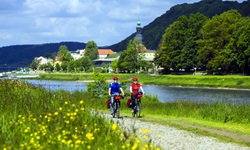 Zwei Radler auf dem Elbe-Radweg bei Bad Schandau