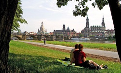 Ein Pärchen sitzt auf einer Decke unter einem Baum am Elbufer und genießt den Blick auf die Skyline von Dresden.