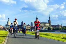 Eine Radlergruppe auf dem Elbe-Radweg bei Dresden.