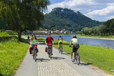 Vier Radler begegnen sich auf dem Elbe-Radweg bei Königstein. Im Bildhintergrund ist die auf einem Hügel gelegene Festung Königstein zu erkennen.