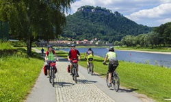 Vier Radler begegnen sich auf dem Elbe-Radweg bei Königstein. Im Bildhintergrund ist die auf einem Hügel gelegene Festung Königstein zu erkennen.