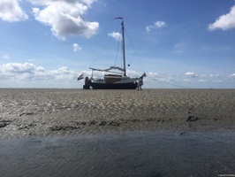 Gestrandetes Boot bei Enkhuizen