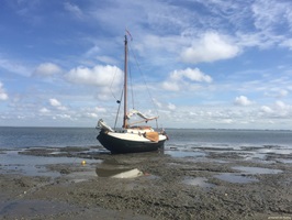 Blick auf ein Boot bei Ebbe am Strand bei Enkhuizen