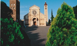 Ein idyllisch von Bäumen gesäumter Weg führt zur Basilica di San Zeno Maggiore in Verona.