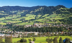 Schöner Blick auf das von den Doppeltürmen des Domes geprägte St. Johann im Pongau, das malerisch von Wiesen und Wäldern umrahmt wird.
