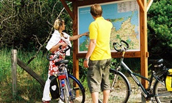 Zwei Fahrradfahrer stehen neben einer Infotafel, die sie betrachten