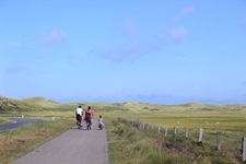 Eine Familie radelt auf dem Nordseeküsten-Radweg an einer Weide mit Schafen vorbei
