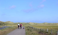 Eine Familie radelt auf dem Nordseeküsten-Radweg an einer Weide mit Schafen vorbei