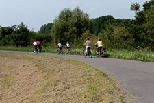 Radler auf einem Radweg in Flandern.