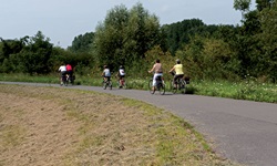 Radler auf einem Radweg in Flandern.