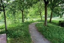 Idyllischer Radweg an der Schelde.