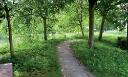 Idyllischer Radweg an der Schelde.